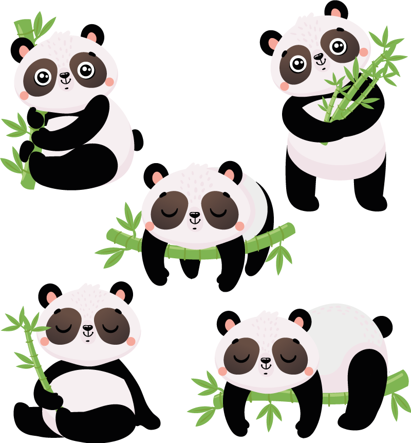 Aranyos panda illusztrációk vinil szőnyeg állat - TenStickers