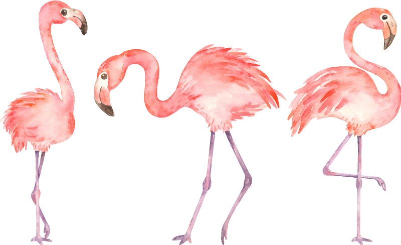 Elegáns flamingó trió vinil szőnyeg állat - TenStickers