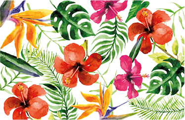 Színes monstera vinil szőnyeg virágok és növények - TenStickers