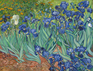 Van gogh virágok vinil szőnyeg virágok és növények - TenStickers