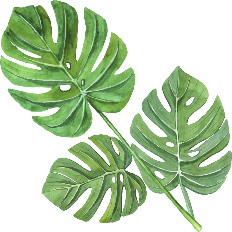 Monstera akvarell levelek vinil szőnyeg virágok és növények - TenStickers