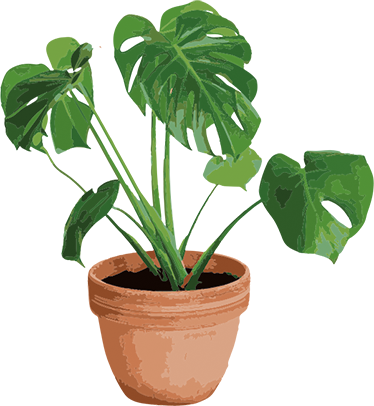 Egyszerű monstera cserép vinil szőnyeg virágok és növények - TenStickers