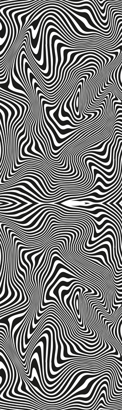 Zebra 3d hatású zuhany vinil szőnyeg fürdőhöz - TenStickers