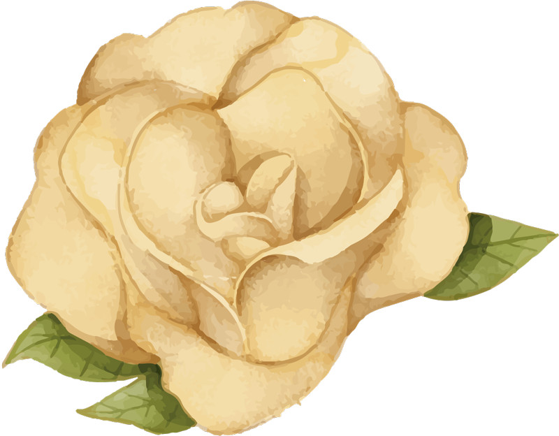 Csodálatos arany rózsa vinil hálószoba szőnyeg - TenStickers