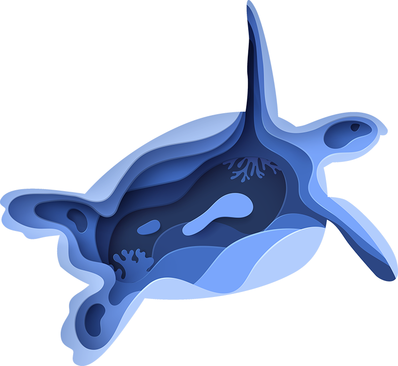 Tengeri teknős alakú vinil szőnyeg állat - TenStickers