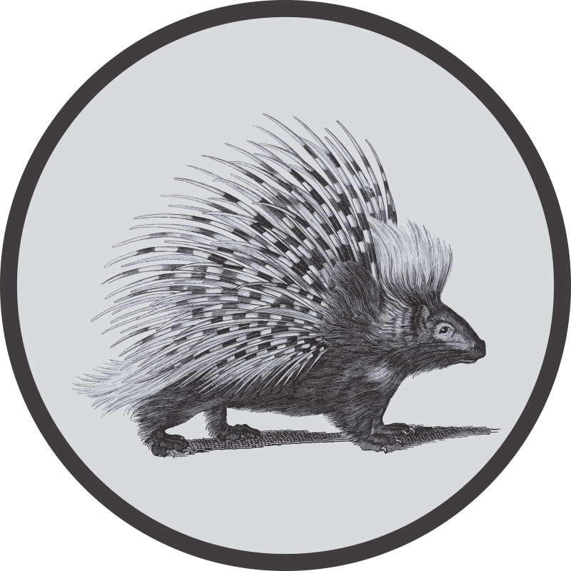 Porcupin illusztráció vinil szőnyeg állat - TenStickers