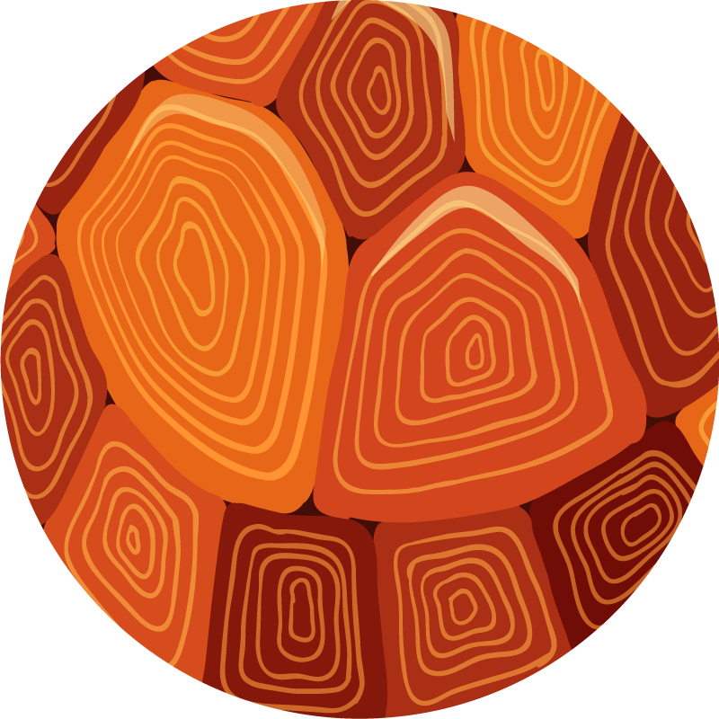 Teknős ház nyomtatott állat nyomtatott vinil szőnyeg - TenStickers