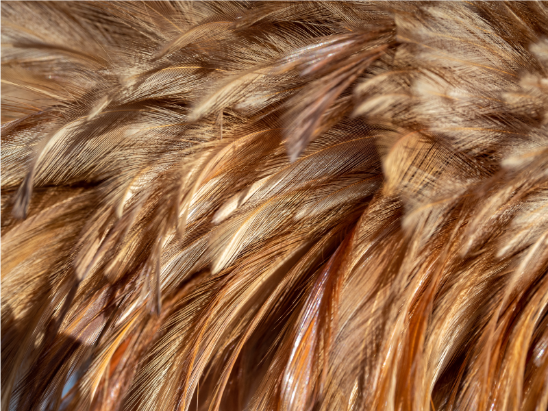 Kavargó szőr vinil szőnyeg állatnyomat - TenStickers