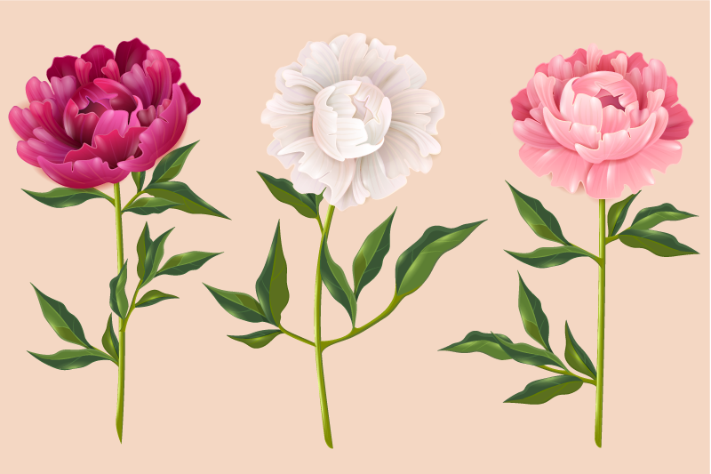 Elegáns trió elrendezés vinil szőnyeg fürdő esetében - TenStickers