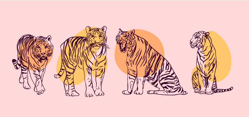 Tigris dekoratív állatszőnyeg - TenStickers