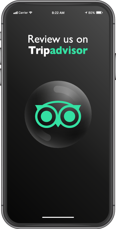 értékeljen minket a tripadvisoron vinil szőnyeg akciósan - TenStickers