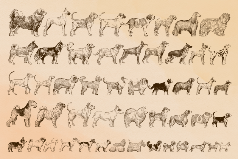 Kutyaméretek állati vinilszőnyeg - TenStickers