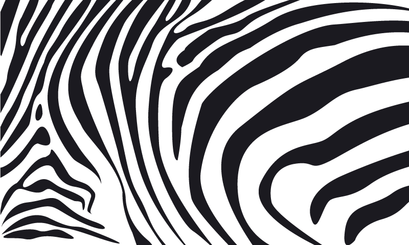 Zebra vonalak vinil szőnyeg állatnyomat - TenStickers