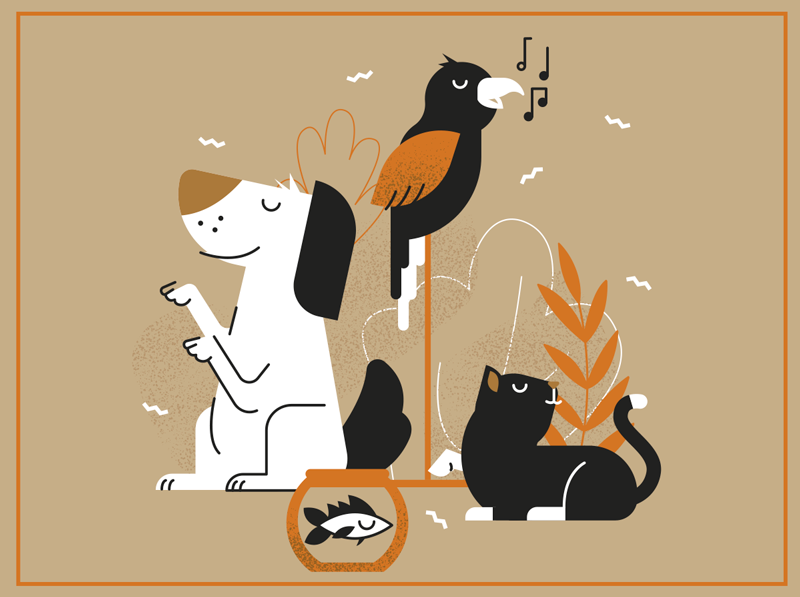 Boldog aranyos háziállatok állati szőnyeg - TenStickers