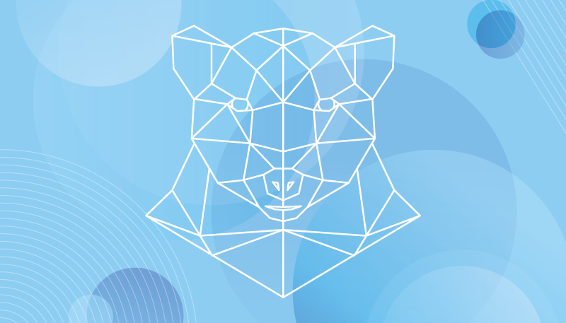 Geometrikus medve körvonal vinil szőnyeg állat - TenStickers