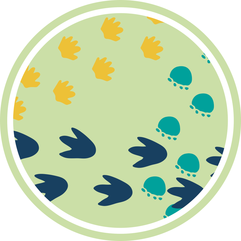 Dinoszaurusz lábnyomok tervezése vinil szőnyeg mások - TenStickers