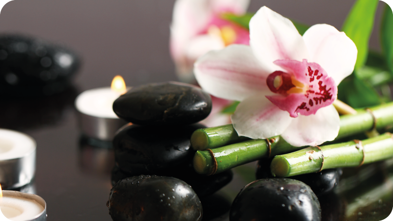 Orchidea nyugalom vinil szőnyeg természet - TenStickers