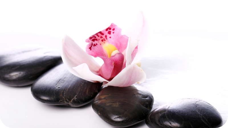 Orchidea kövekkel virágos vinil szőnyeg - TenStickers