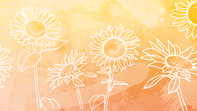 Napraforgó virágminta vinil szőnyeg virágok és növények - TenStickers