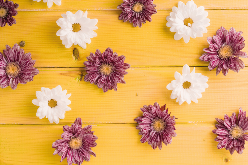 Rózsaszín és fehér szirmok vinil szőnyeg virágok és növények - TenStickers