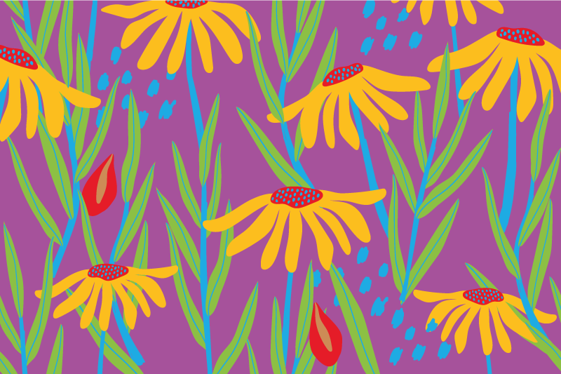 Színes százszorszép virág sziluett virág szőnyeg - TenStickers