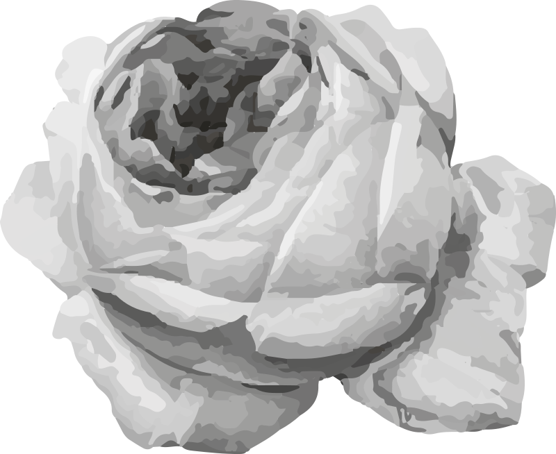 Rózsavirág vinil szőnyeg virágok és növények - TenStickers