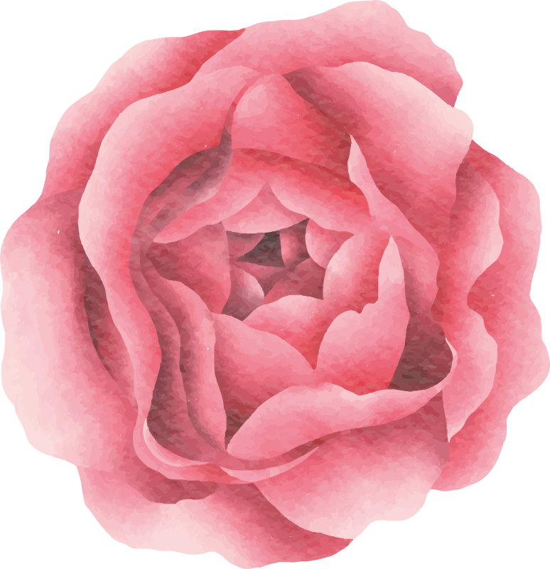 Pír rózsaszín virágzás vinil szőnyeg virágok és növények - TenStickers