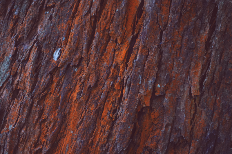 Rusztikus faszemhatású vinilszőnyeg - TenStickers