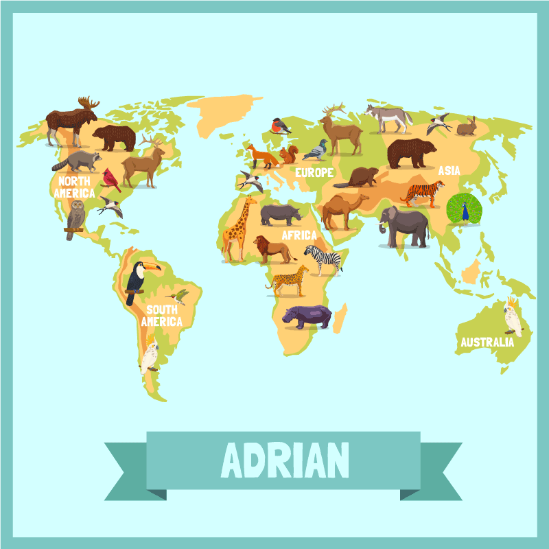 Színes állatok a kontinensek térkép szőnyeg - TenStickers