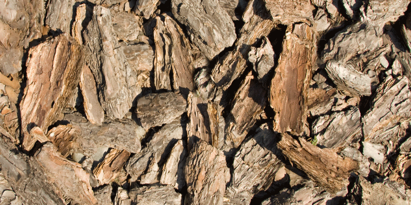 Barna rusztikus fa kéreg textúra szőnyeg - TenStickers