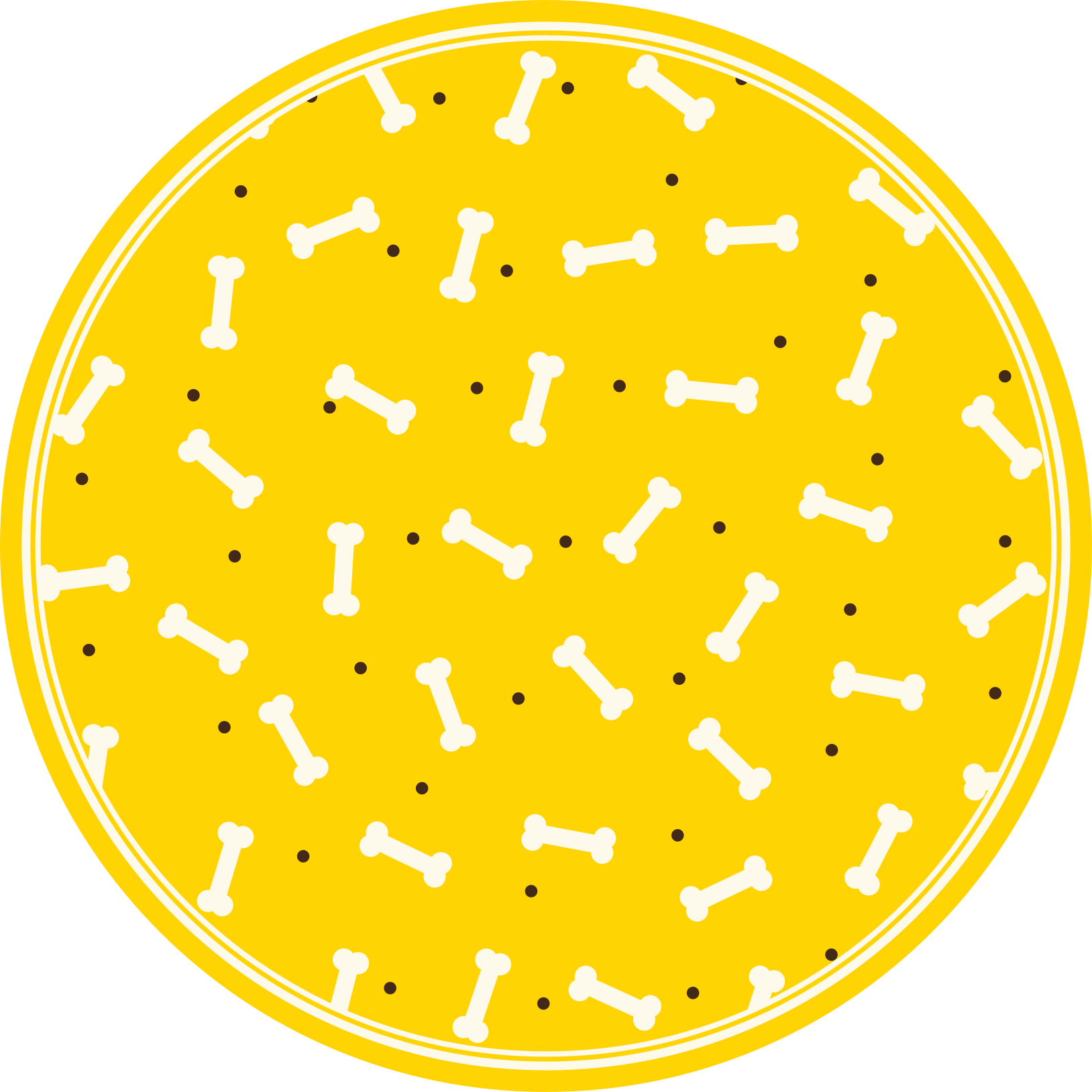 Sárga csont minta vinil szőnyeg Állat - TenStickers