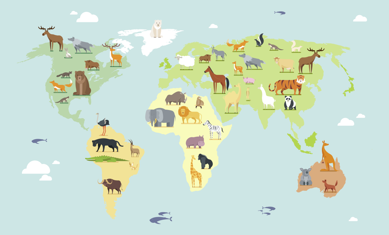 Színes állatok kontinensekről világtérkép szőnyeg - TenStickers