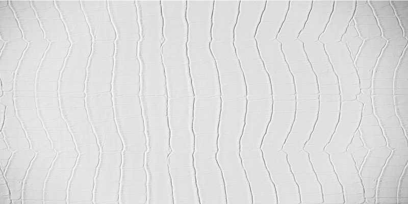 Elegáns krokodil vinil szőnyeg állatnyomat - TenStickers