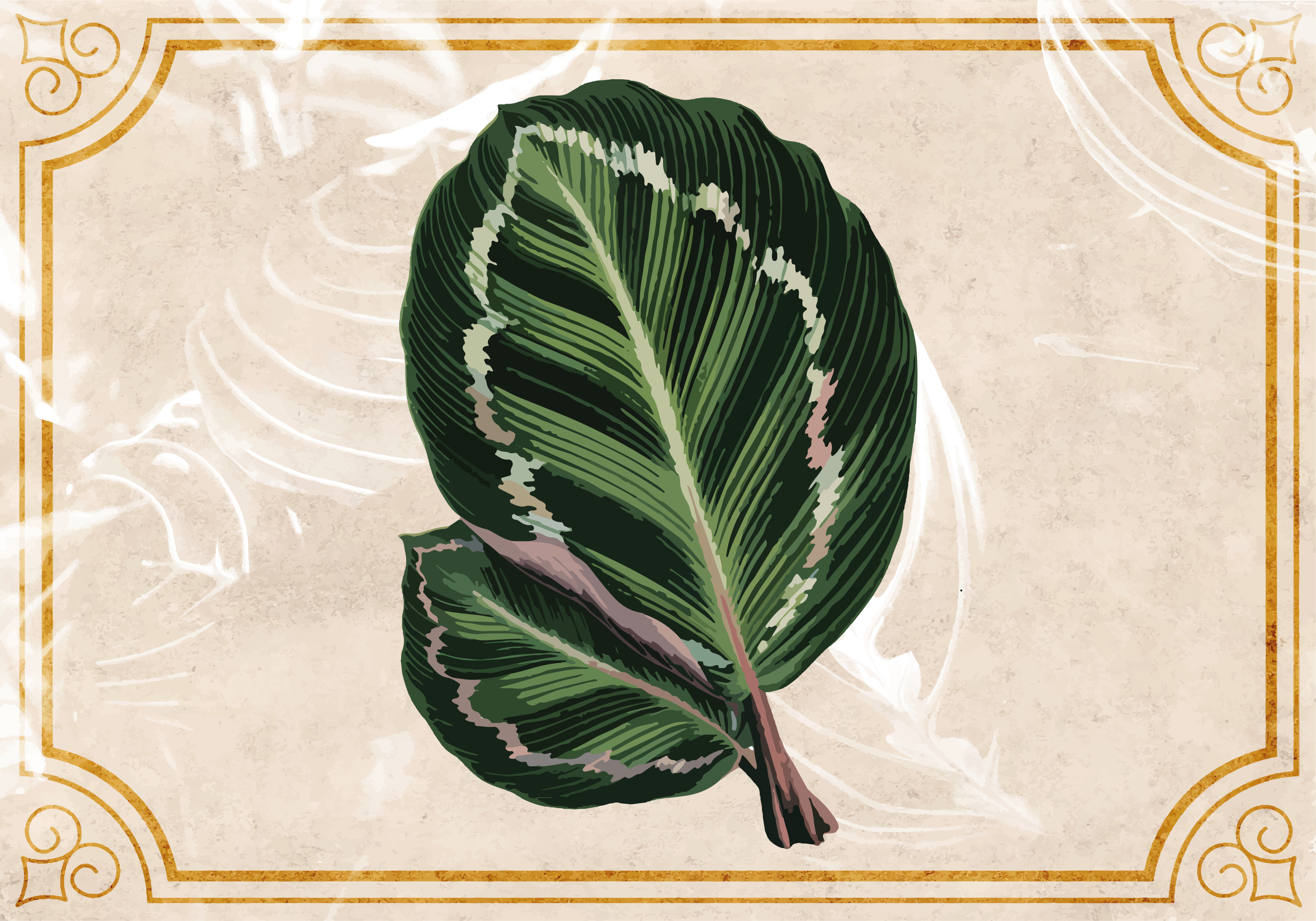 Levélmotívum elegancia vinil szőnyeg természet - TenStickers