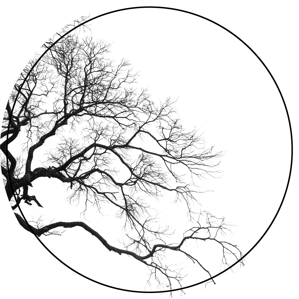 ág sziluett művészet vinil szőnyeg természet - TenStickers