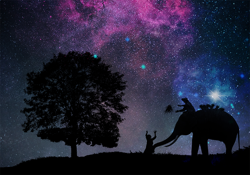 Kozmikus elefánt kaland vinil szőnyeg állat - TenStickers