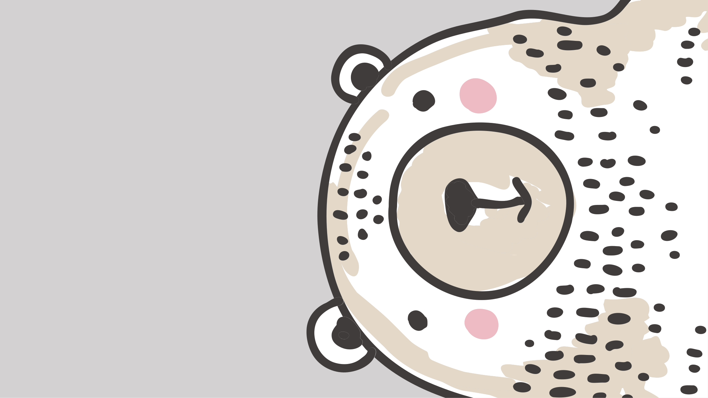 vinil szőnyeg óvodák medve arc formája - TenStickers