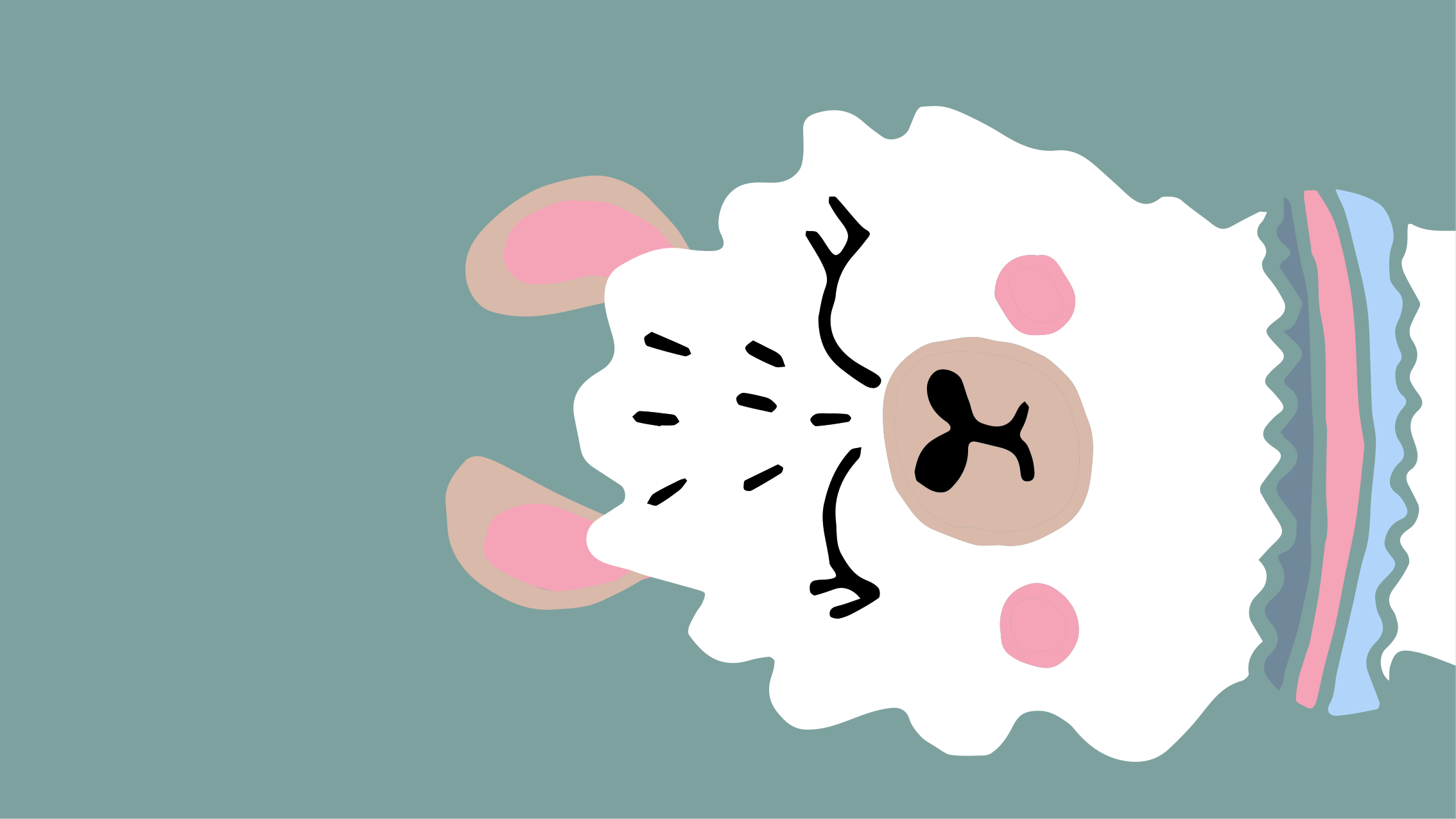 vinil szőnyeg óvodák bárány illusztráció - TenStickers