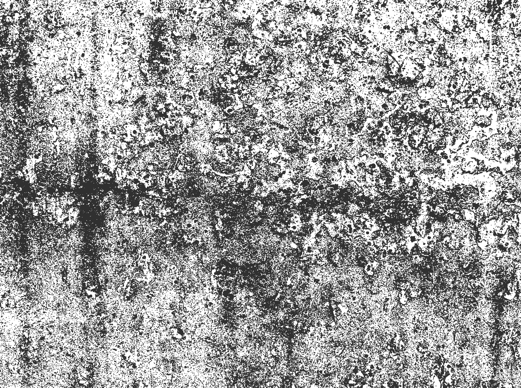 vinil szőnyeg étkező kifakult szürke - TenStickers