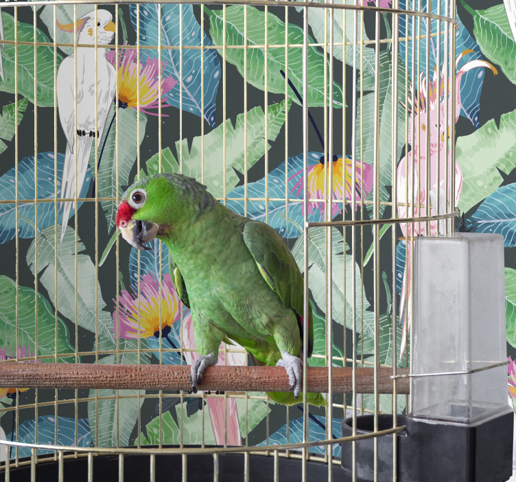 Tapéta madarak magyarország tropikus  - TenStickers