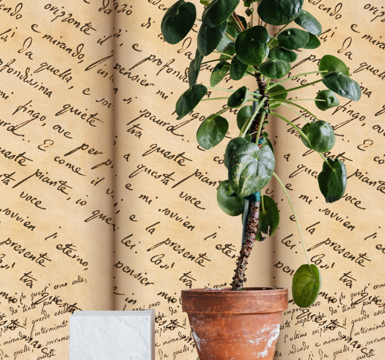 Kurzív forgatókönyv motívuma Tapéta felirat - TenStickers