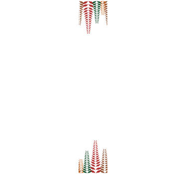 Elegáns páfrányformák Tapéta Virágok - TenStickers