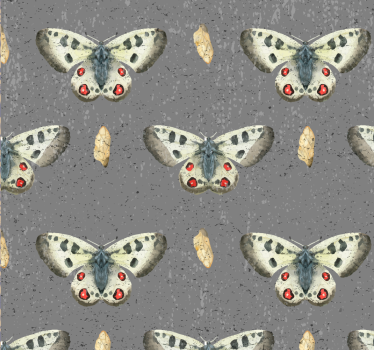 Pillangó minta egyszerűsége Tapéta pillangó - TenStickers