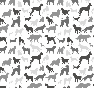 Fekete kutya sziluett mintás tapéta hálószobába - TenStickers
